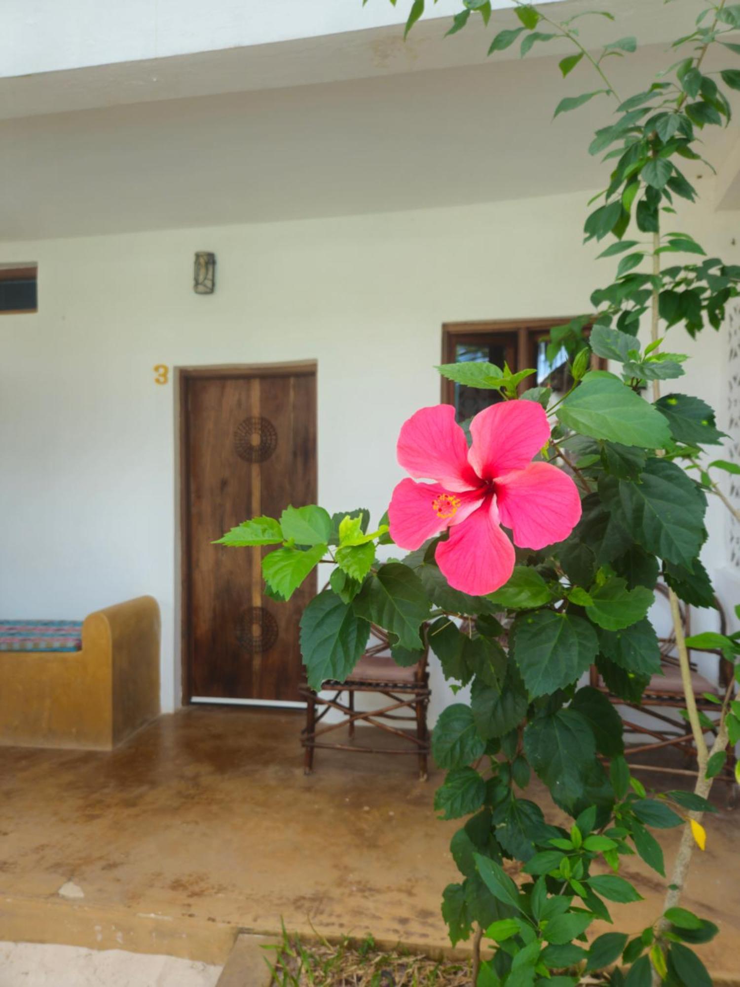 Kiganja Bed & Breakfast Matemwe  Eksteriør bilde